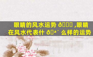 眼睛的风水运势 🐕 ,眼睛在风水代表什 🪴 么样的运势
